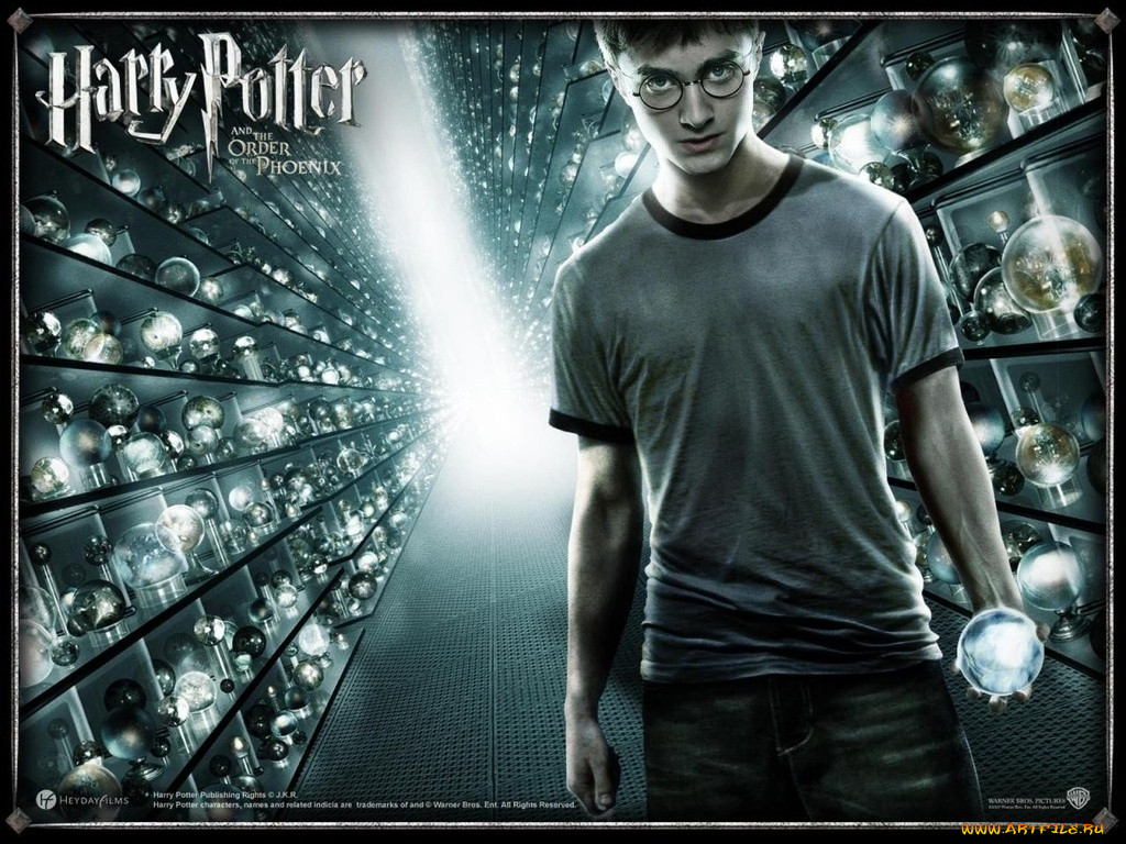 , , harry, potter, and, the, order, of, phoenix